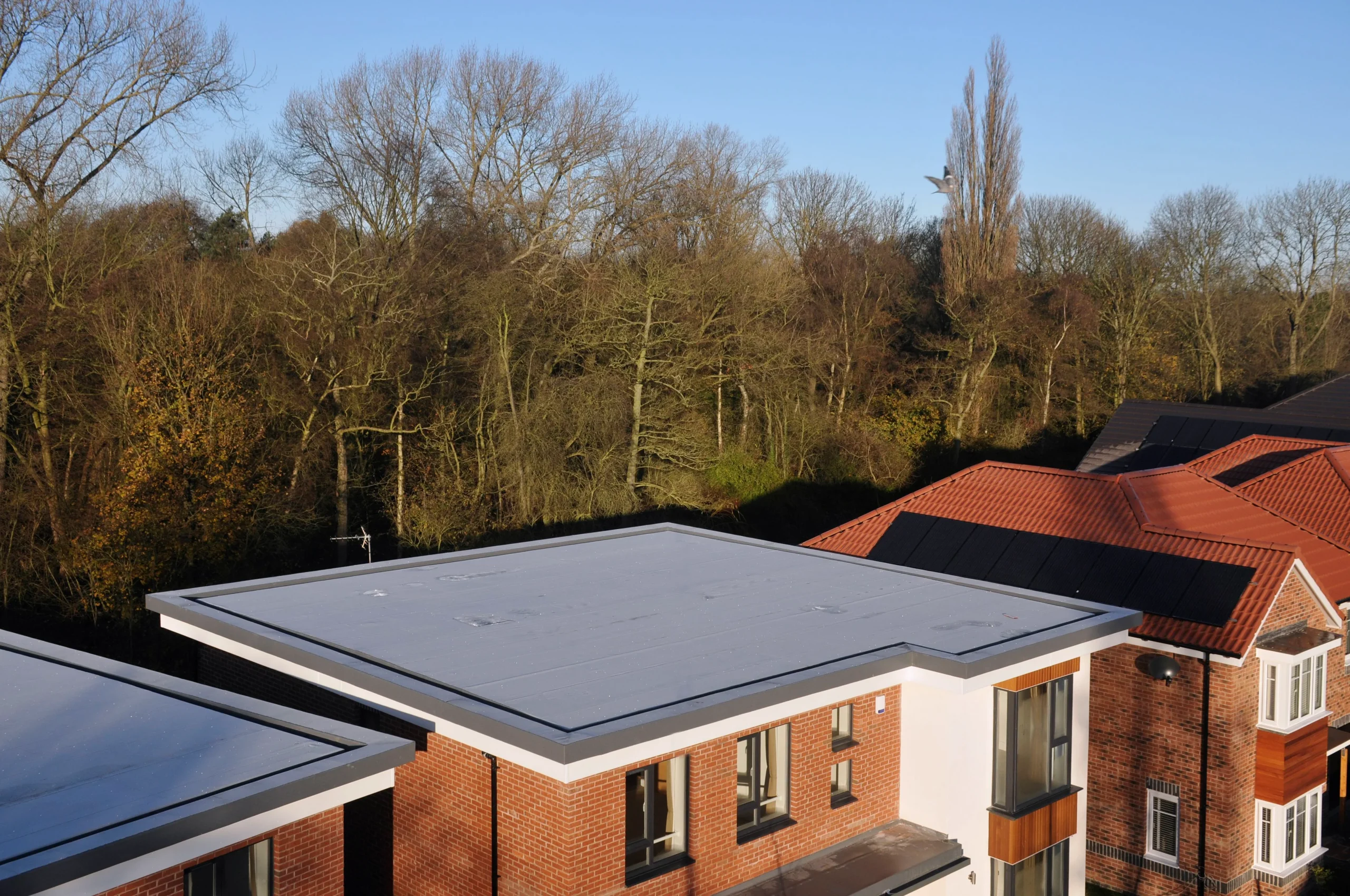 Decks & Outdoor Living-